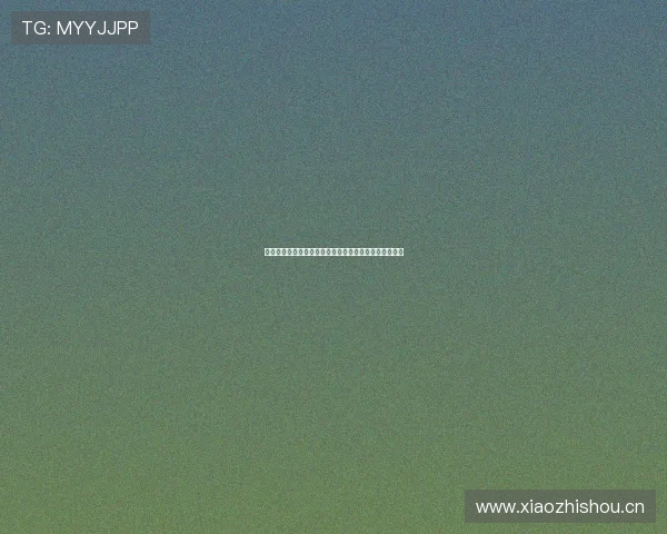 新英直播官网全新上线带来精彩互动体验与实时娱乐内容